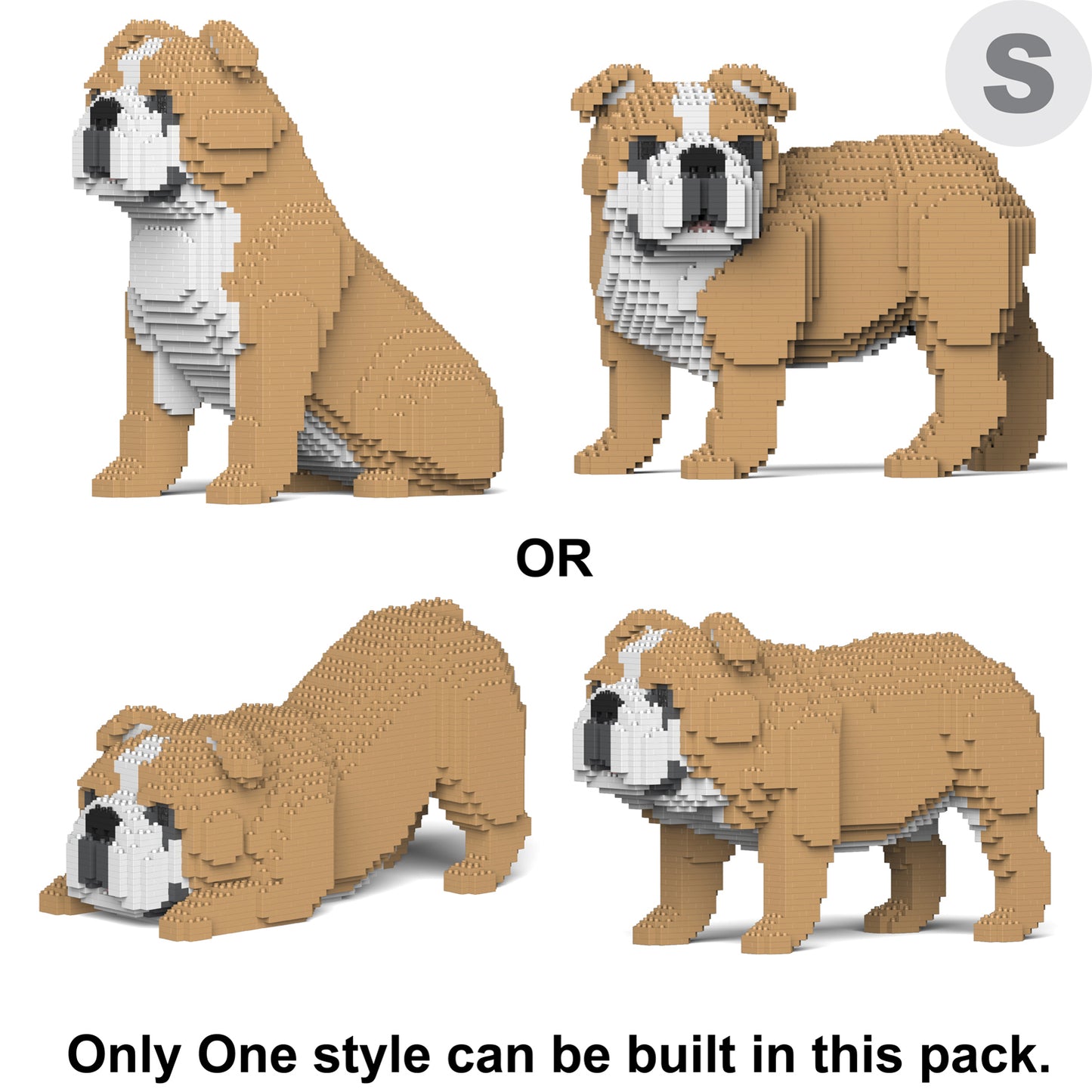 English Bulldog 4-in-1 Pack 01S-M03