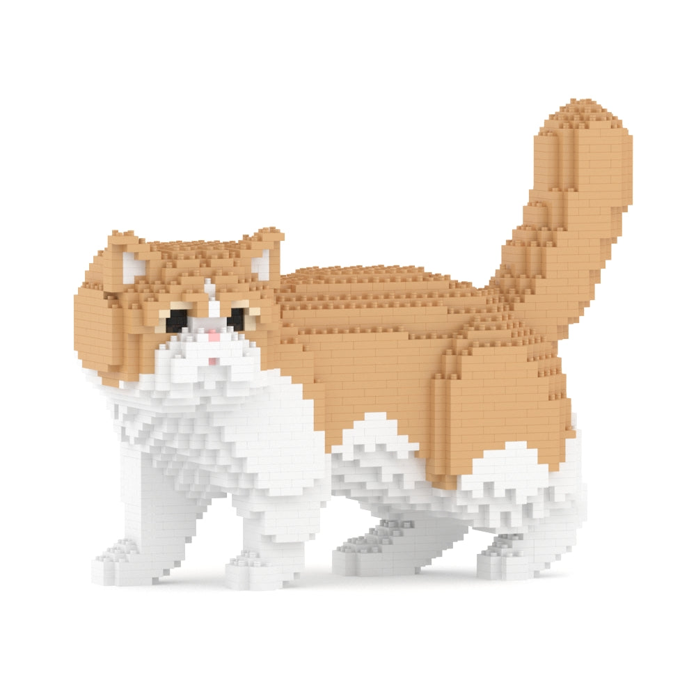 Exotic Shorthair Cat 01S-M01