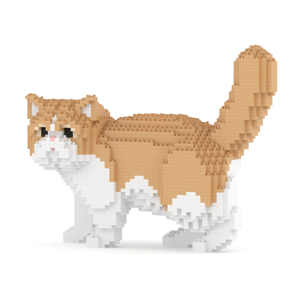 Exotic Shorthair Cat 01S-M01