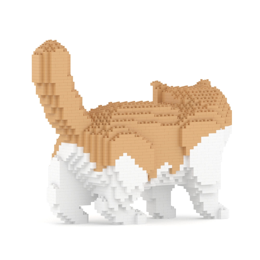 Exotic Shorthair Cat 01S-M01