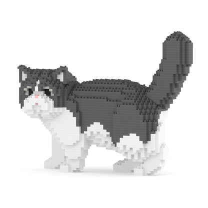 Exotic Shorthair Cat 01S-M02