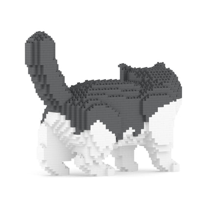 Exotic Shorthair Cat 01S-M02