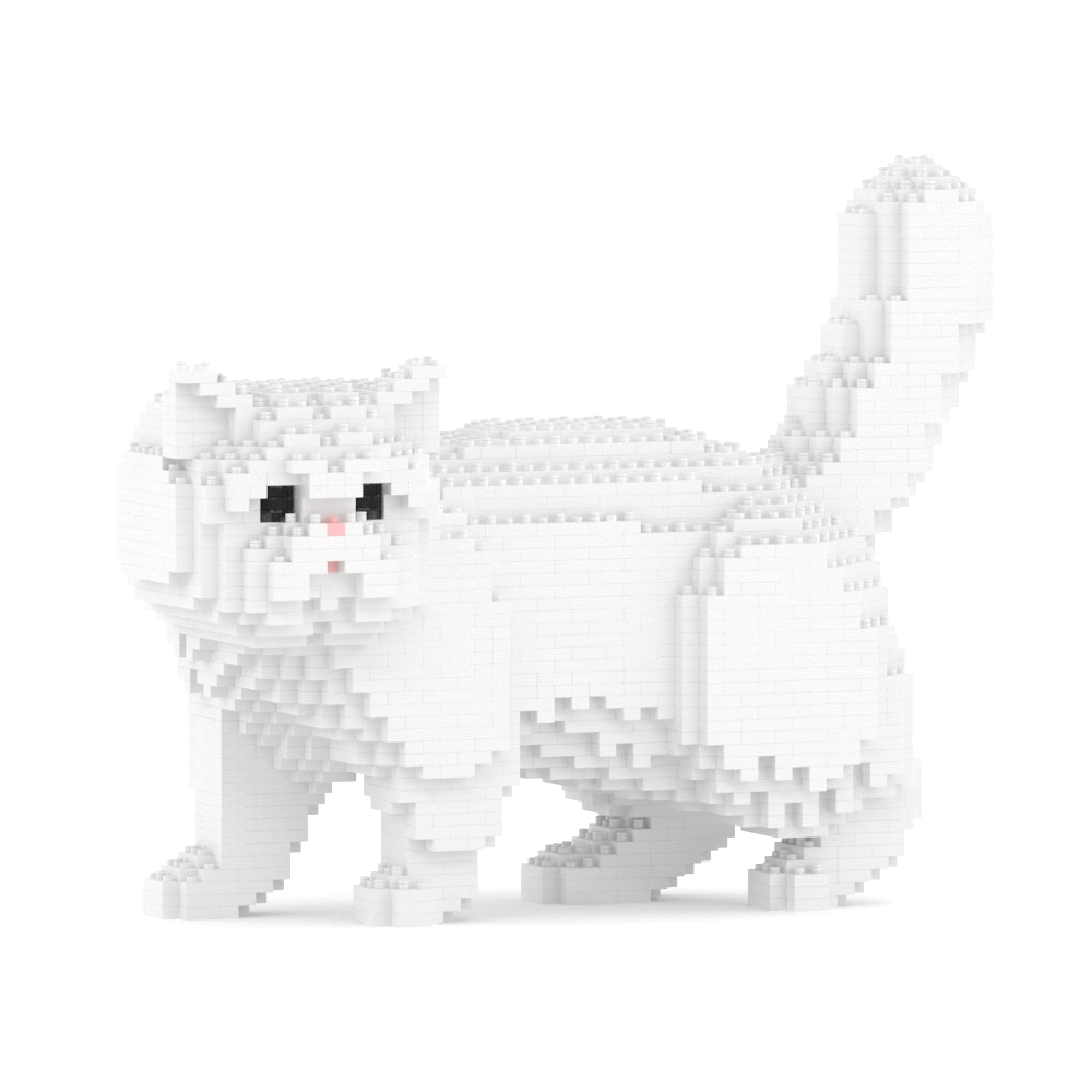 Exotic Shorthair Cat 01S-M03