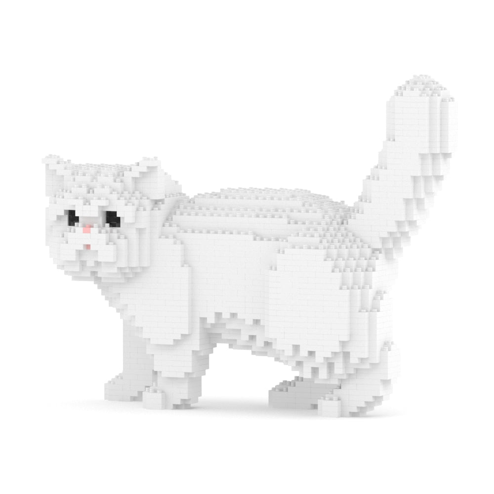 Exotic Shorthair Cat 01S-M03