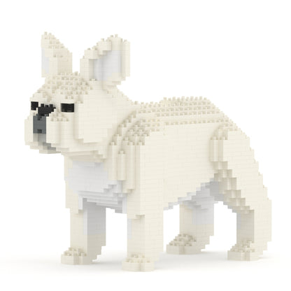 French Bulldog 02-M02