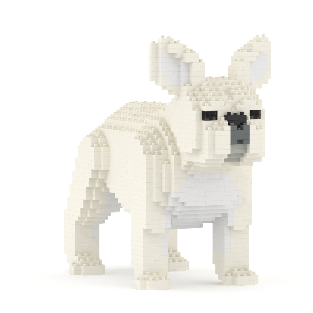 French Bulldog 02-M02