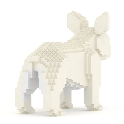 French Bulldog 02-M02