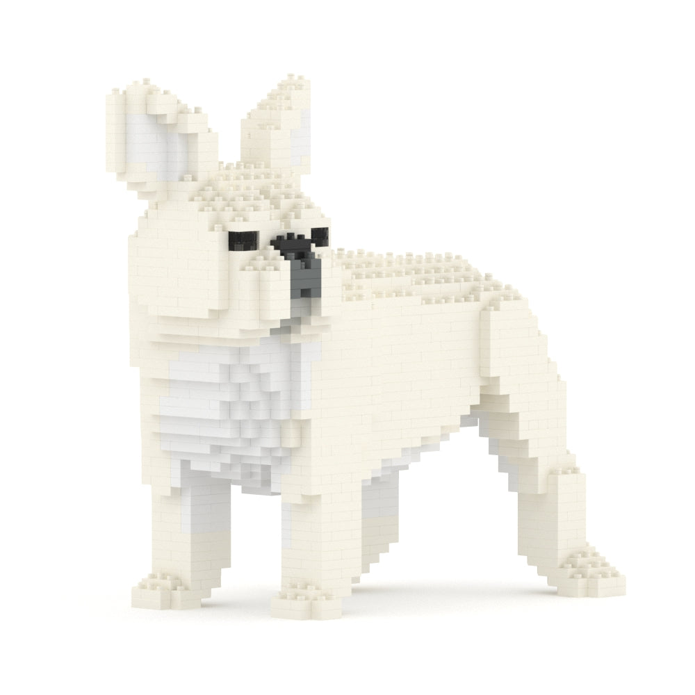 French Bulldog 03-M02