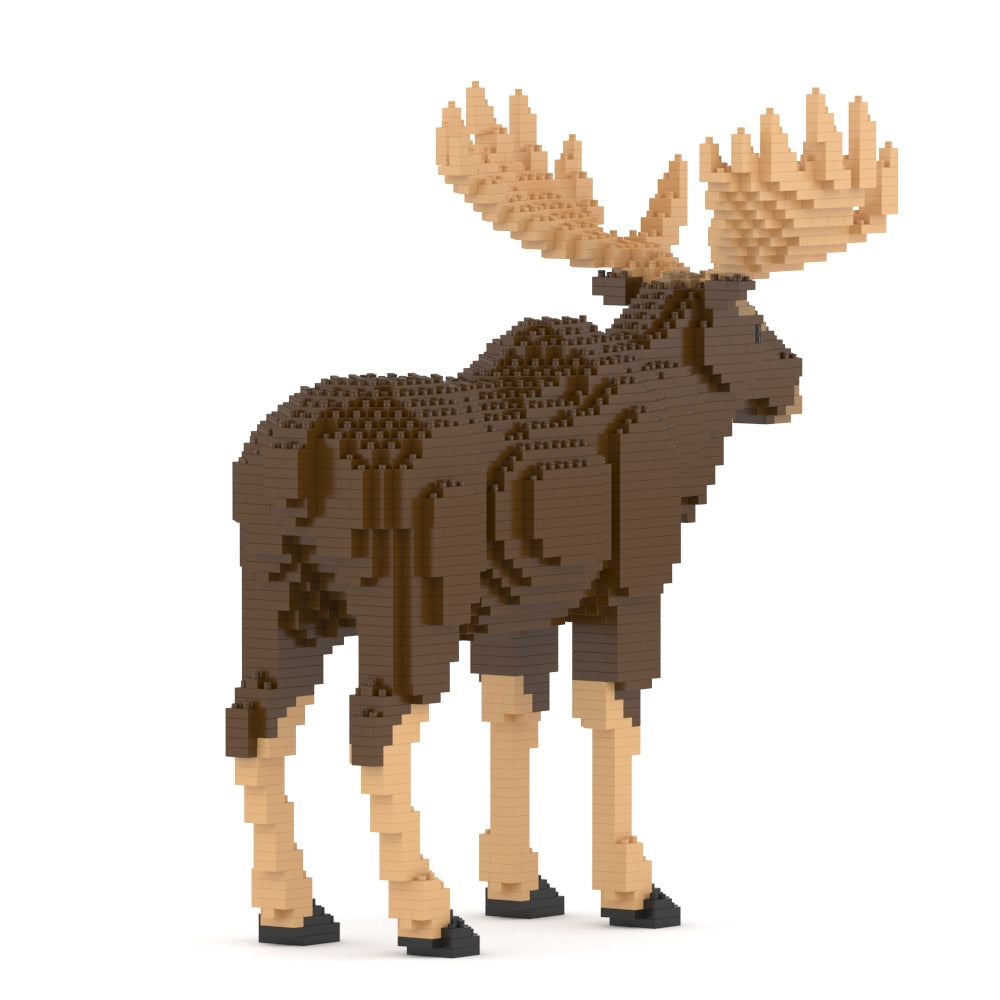 Moose 01