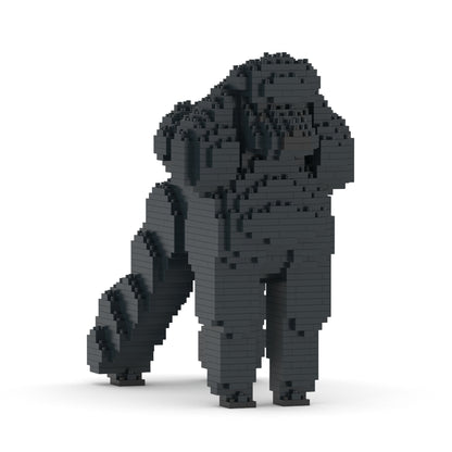 Standard Poodle 01-M01