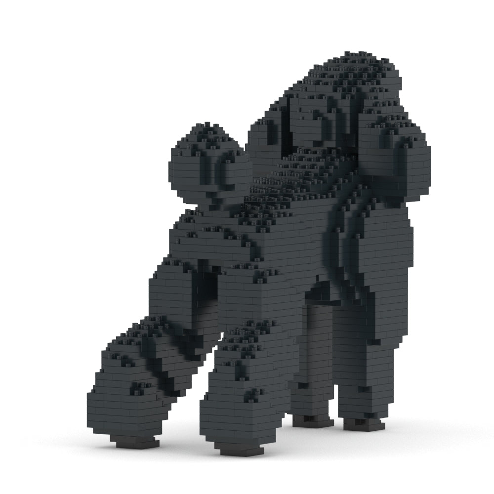 Standard Poodle 01-M01