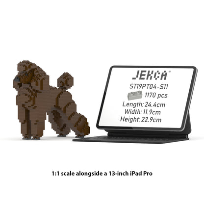 Standard Poodle 01-S11