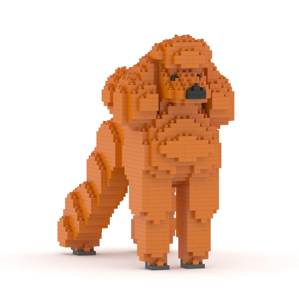 Standard Poodle 01-S13