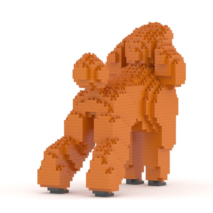 Standard Poodle 01-S13