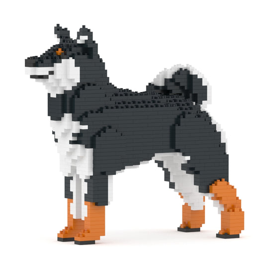 Shiba Inu 01-M02