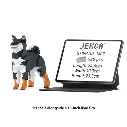 Shiba Inu 01-M02