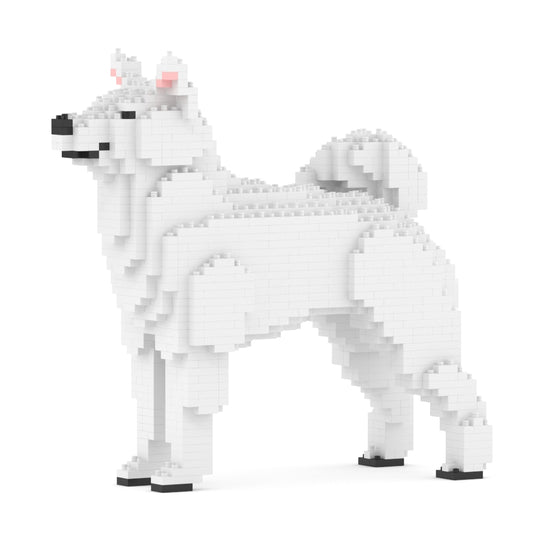 Shiba Inu 01-M03