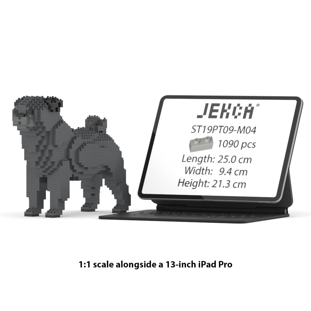 Pug 01-M04