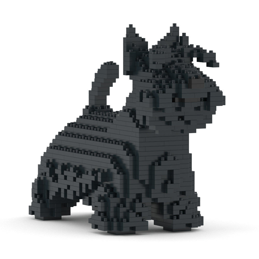 Scottish Terrier 01-M01