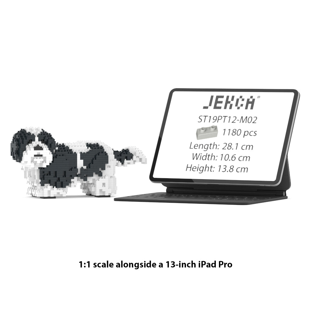 Shih Tzu 01-M02