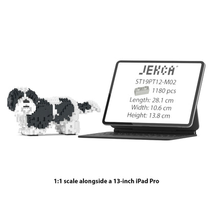 Shih Tzu 01-M02