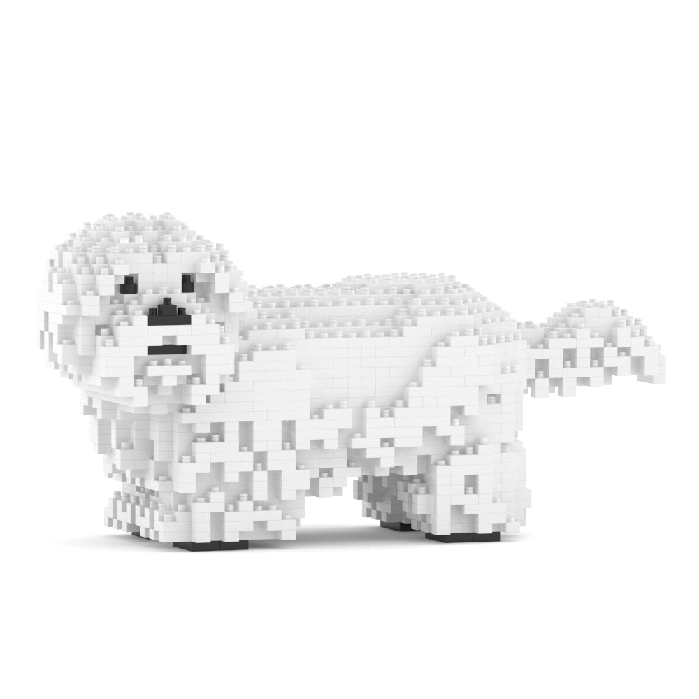 Shih Tzu 01-M03