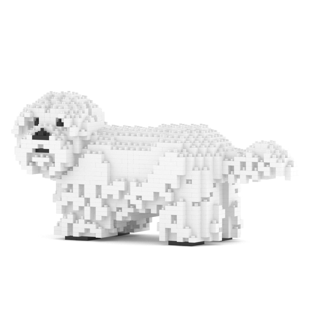 Shih Tzu 01-M03