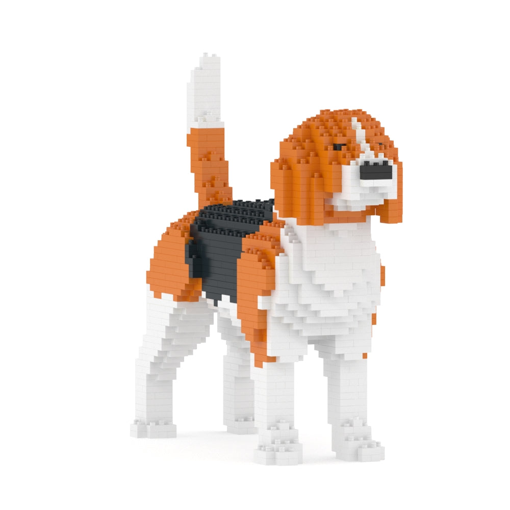 Beagle 01