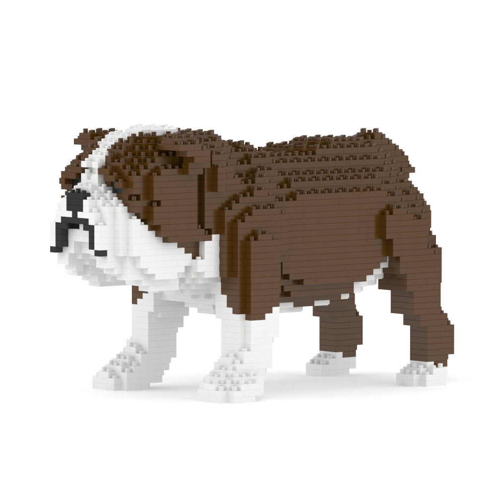 English Bulldog 01-M01