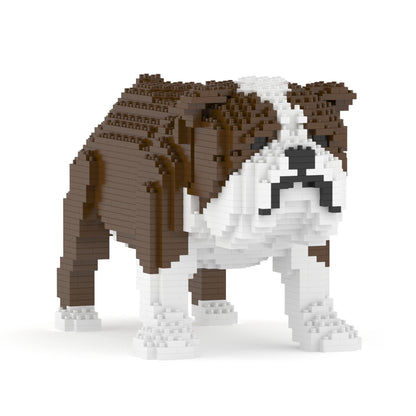 English Bulldog 01-M01