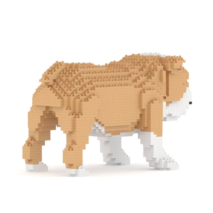 English Bulldog 01-M03