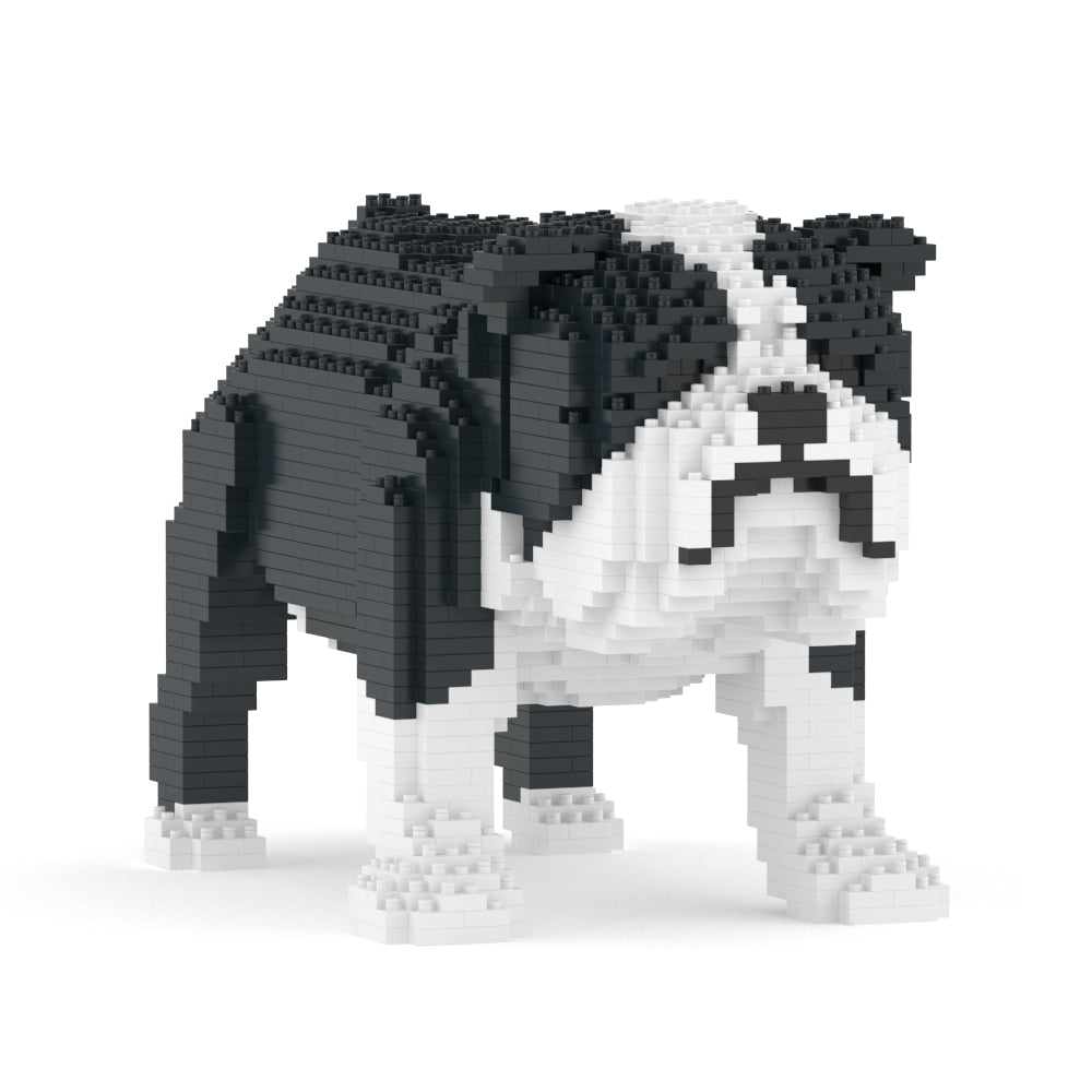 English Bulldog 01-M04