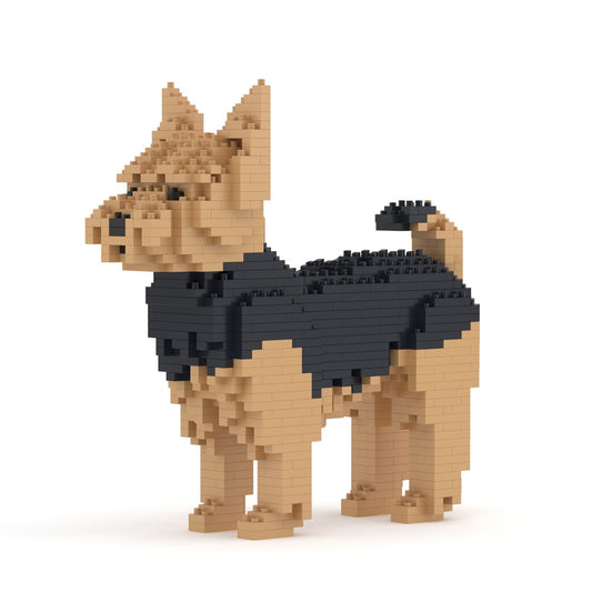 Yorkshire Terrier 01