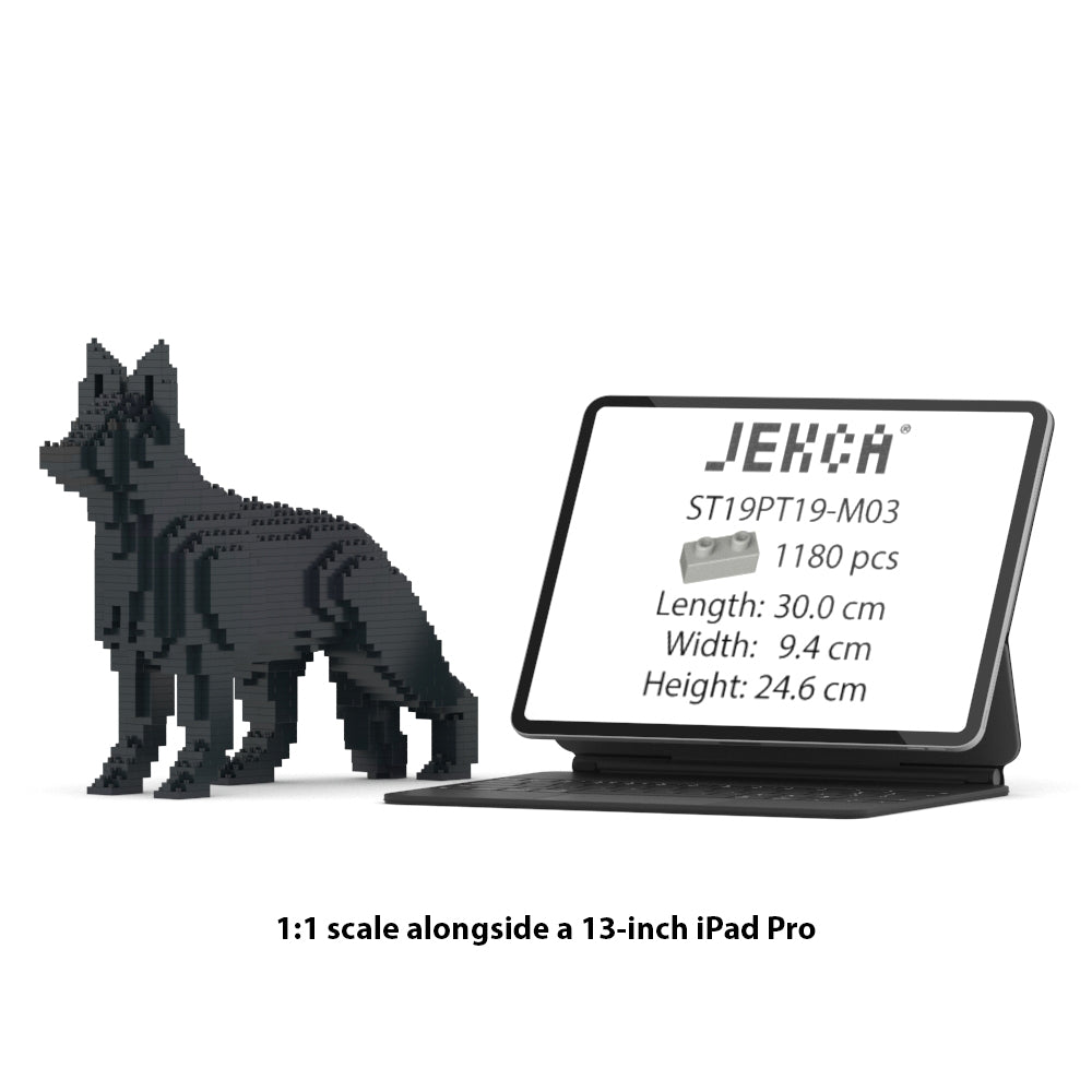 German Shepherd 01-M03