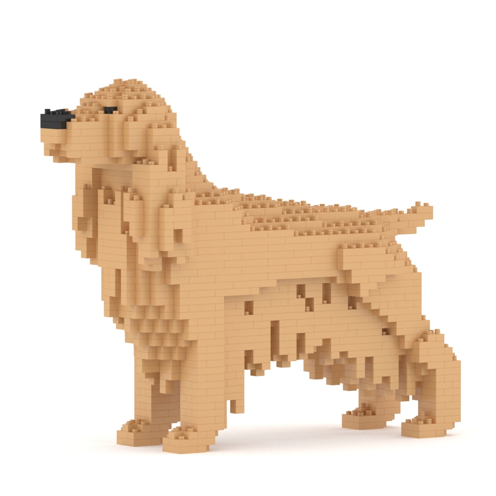 English Cocker Spaniel 01-M01