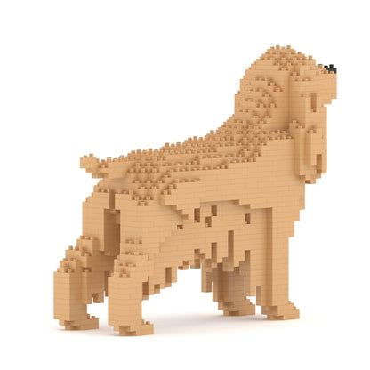 English Cocker Spaniel 01-M01
