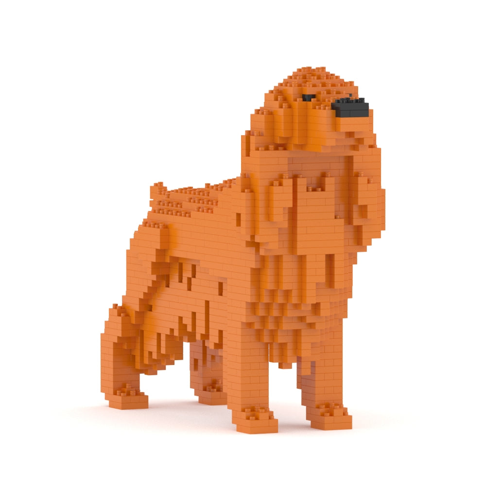 English Cocker Spaniel 01-M03