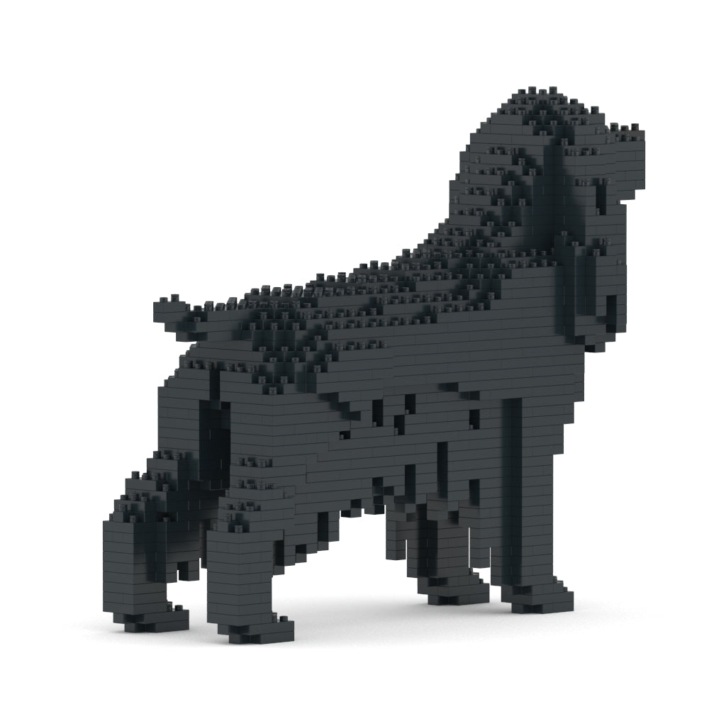 English Cocker Spaniel 01-M02