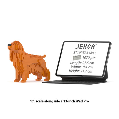 English Cocker Spaniel 01-M03