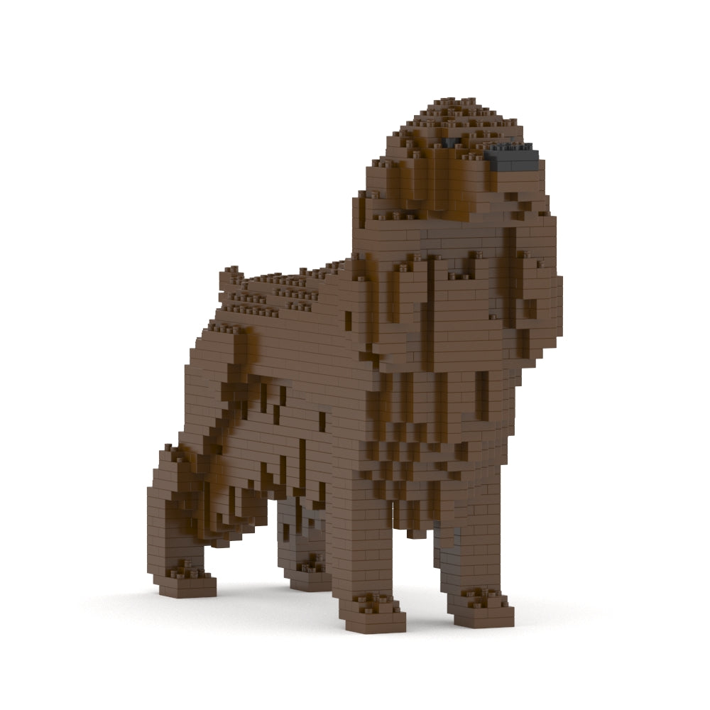 English Cocker Spaniel 01-M04