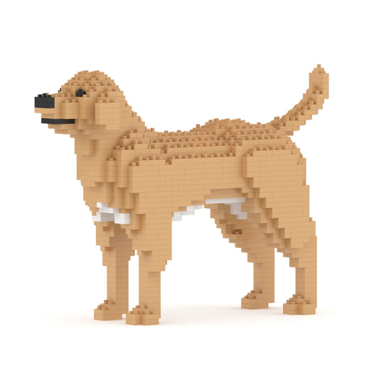 Labrador Retriever 01-M04