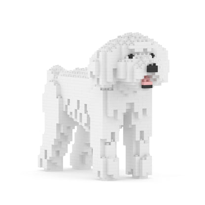 Toy Poodle 01-M01