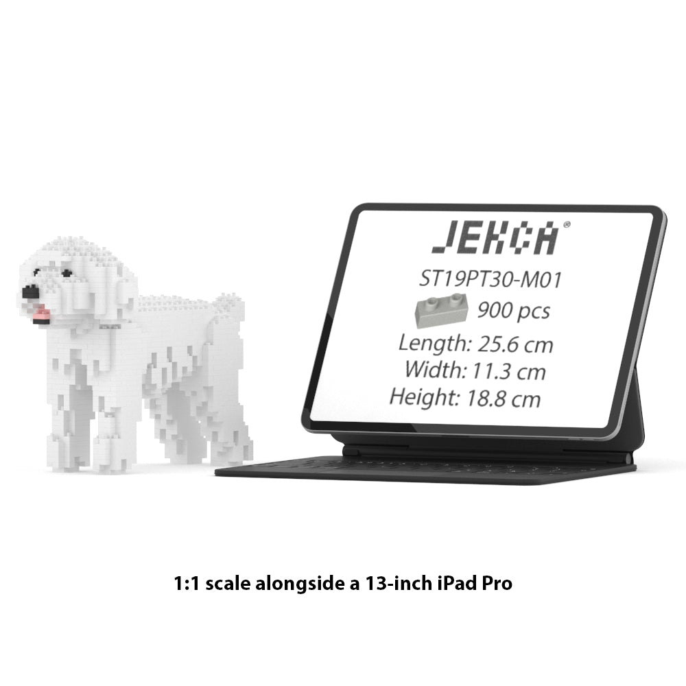 Toy Poodle 01-M01
