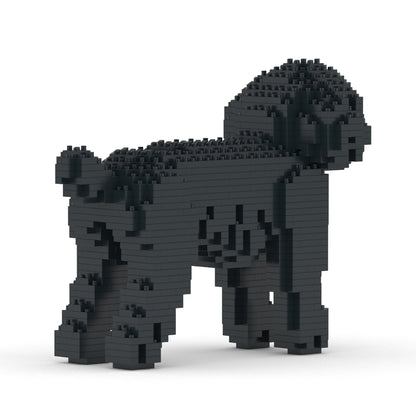 Toy Poodle 01-M02