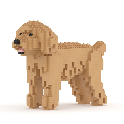 Toy Poodle 01-M03