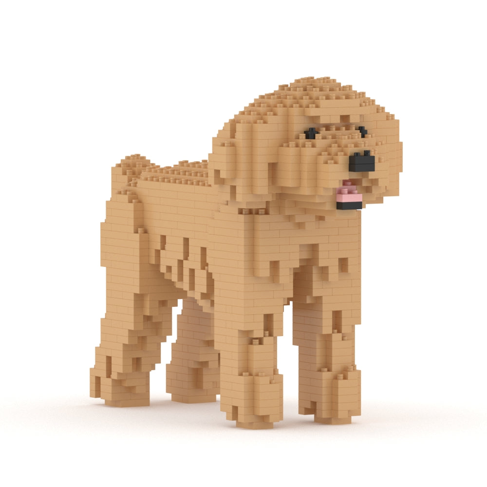 Toy Poodle 01-M03