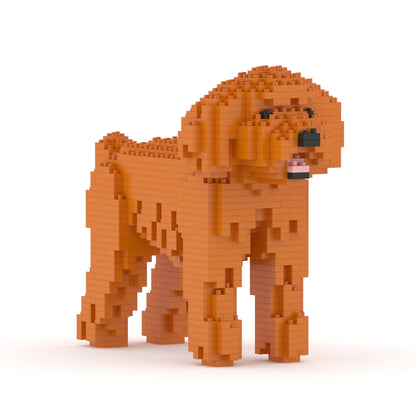Toy Poodle 01-M04
