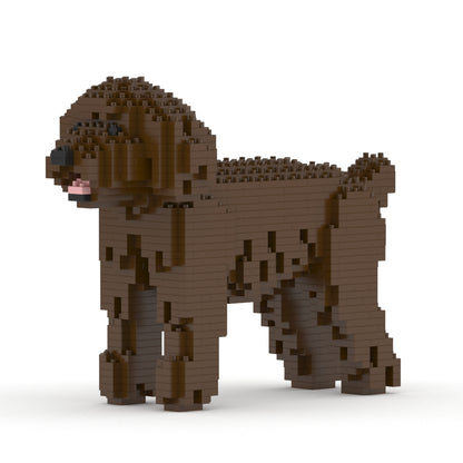 Toy Poodle 01-M05
