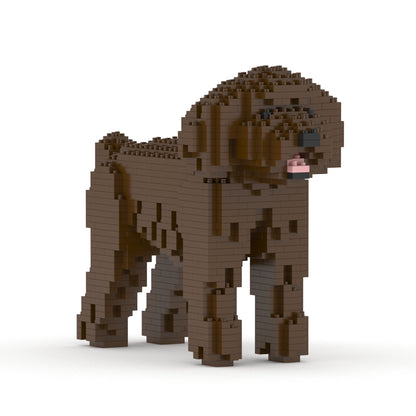 Toy Poodle 01-M05