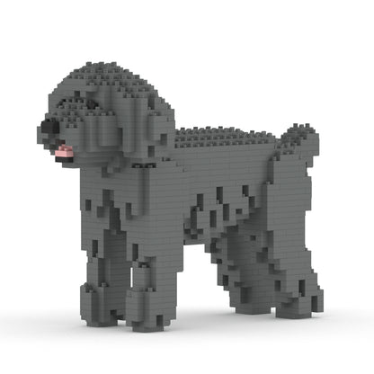 Toy Poodle 01-M06